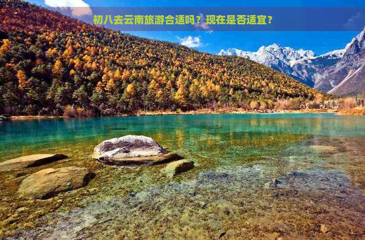 初八去云南旅游合适吗？现在是否适宜？