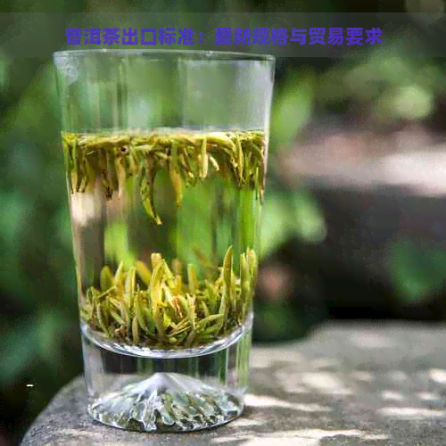 普洱茶出口标准：最新规格与贸易要求