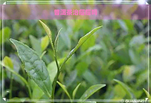 普洱茶治痘痘吗