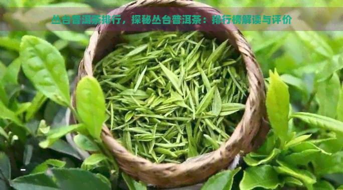 丛台普洱茶排行，探秘丛台普洱茶：排行榜解读与评价