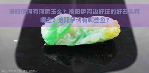 洛阳伊河有河磨玉么？洛阳伊河边好玩的好石头有哪些？洛阳伊河有哪些鱼？