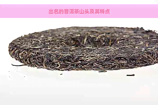 出名的普洱茶山头及其特点