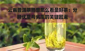 云南普洱茶熟普怎么看是好茶：分辨优质与劣质的关键因素