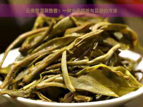 云南普洱茶熟普：一种全面解析与品鉴的方法