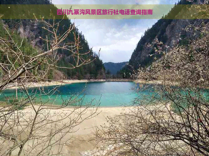 四川九寨沟风景区旅行社电话查询指南