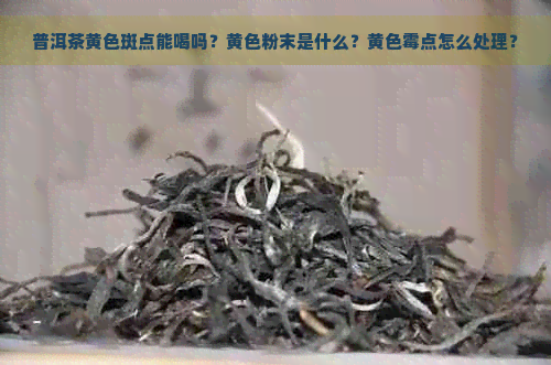 普洱茶黄色斑点能喝吗？黄色粉末是什么？黄色霉点怎么处理？