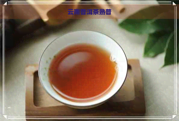 云南普洱茶熟普