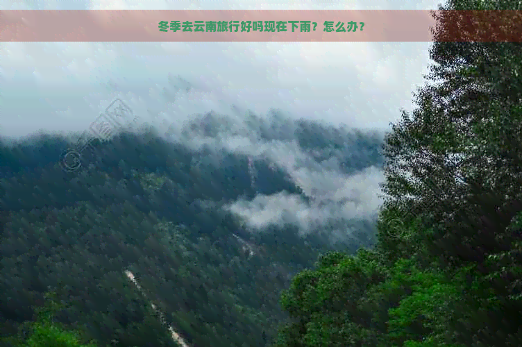 冬季去云南旅行好吗现在下雨？怎么办？