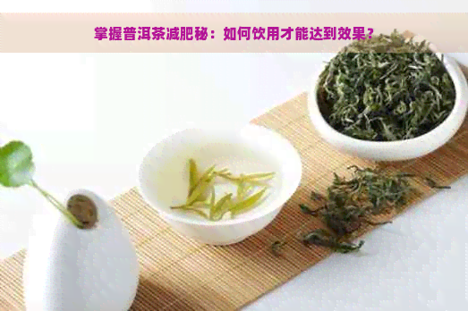 掌握普洱茶减肥秘：如何饮用才能达到效果？