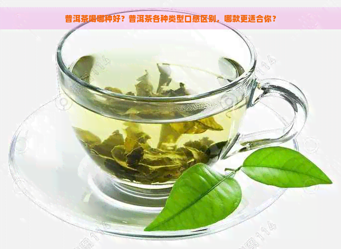 普洱茶喝哪种好？普洱茶各种类型口感区别，哪款更适合你？