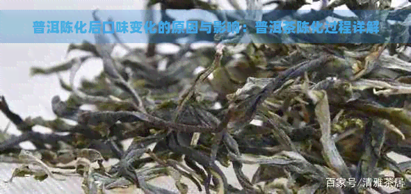 普洱陈化后口味变化的原因与影响：普洱茶陈化过程详解