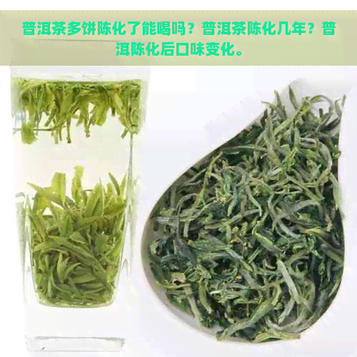 普洱茶多饼陈化了能喝吗？普洱茶陈化几年？普洱陈化后口味变化。