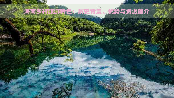 海南乡村旅游特色：历史背景、优势与资源简介