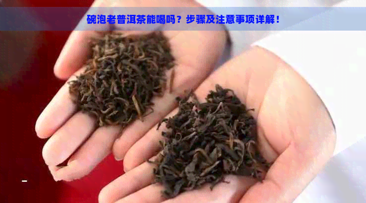 碗泡老普洱茶能喝吗？步骤及注意事项详解！