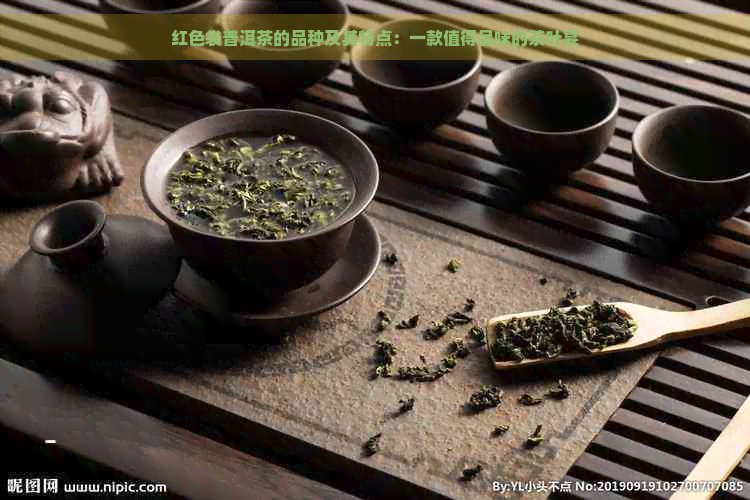 红色袋普洱茶的品种及其特点：一款值得品味的茶叶宴