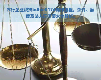 农行企业税贷bdhie0174操作流程，条件、额度及法人要求全解析。