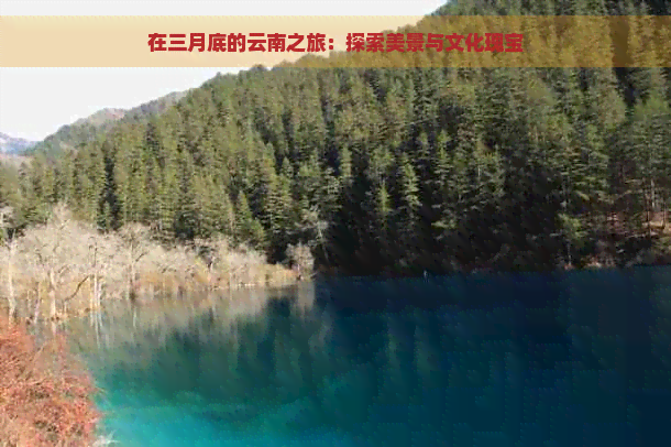 在三月底的云南之旅：探索美景与文化瑰宝