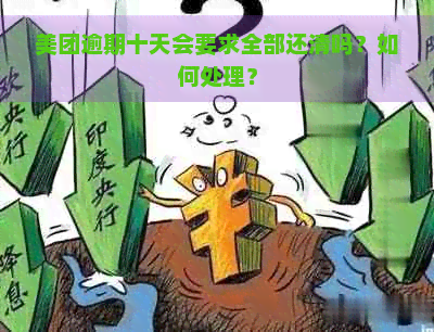 美团逾期十天会要求全部还清吗？如何处理？