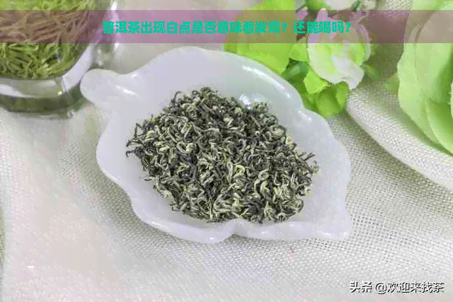 普洱茶出现白点是否意味着发霉？还能喝吗？