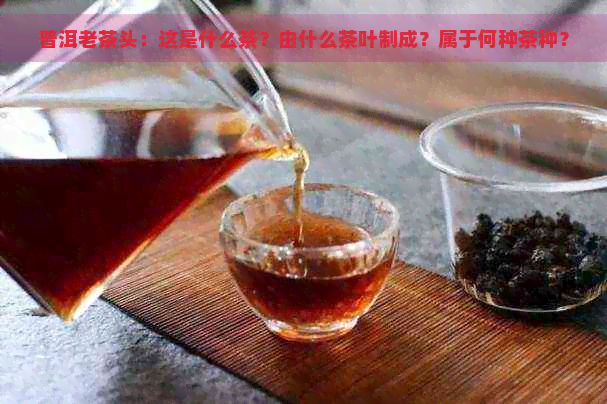 普洱老茶头：这是什么茶？由什么茶叶制成？属于何种茶种？