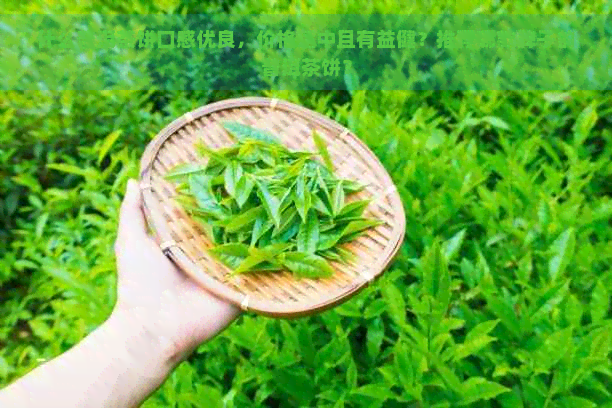 什么普洱茶饼口感优良，价格适中且有益健？推荐哪款牌子的普洱茶饼？