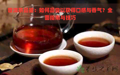 普洱茶品鉴：如何品尝以获得口感与香气？全面指南与技巧