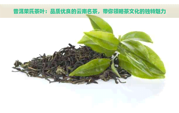 普洱荣氏茶叶：品质优良的云南名茶，带你领略茶文化的独特魅力