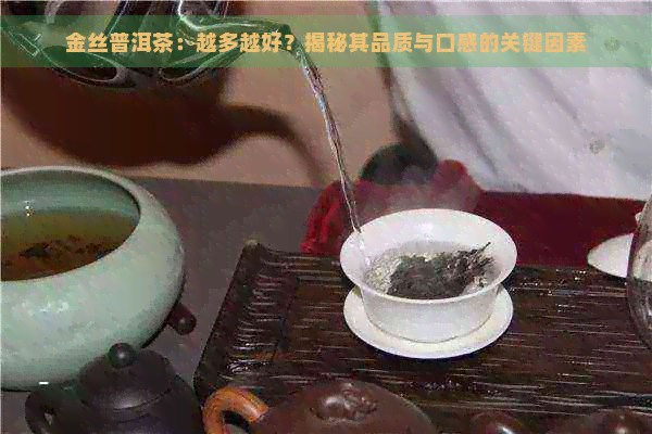 金丝普洱茶：越多越好？揭秘其品质与口感的关键因素