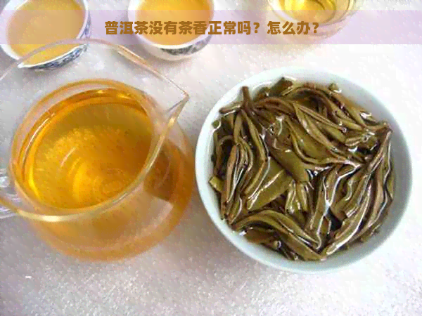 普洱茶没有茶香正常吗？怎么办？