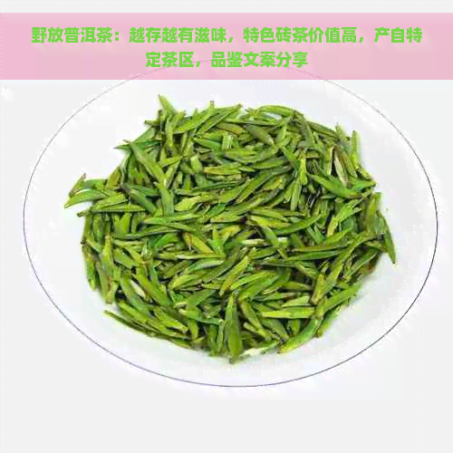 野放普洱茶：越存越有滋味，特色砖茶价值高，产自特定茶区，品鉴文案分享