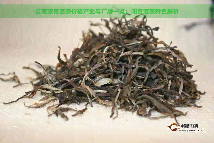 云南族普洱茶价格产地与厂牌一览：阳普洱茶特色解析