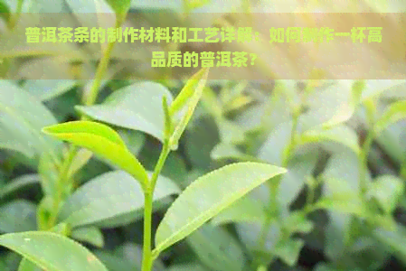 普洱茶条的制作材料和工艺详解：如何制作一杯高品质的普洱茶？