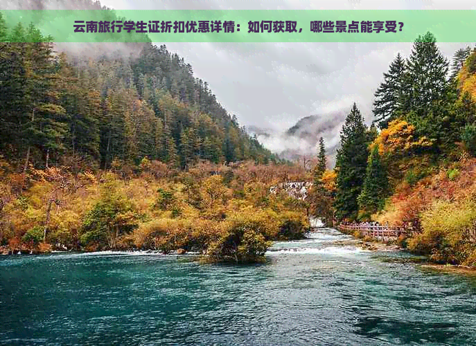 云南旅行学生证折扣优惠详情：如何获取，哪些景点能享受？