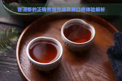 普洱茶的正确煮泡方法及其口感体验解析