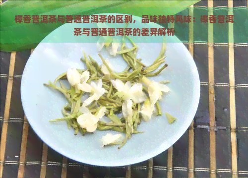 樟香普洱茶与普通普洱茶的区别，品味独特风味：樟香普洱茶与普通普洱茶的差异解析