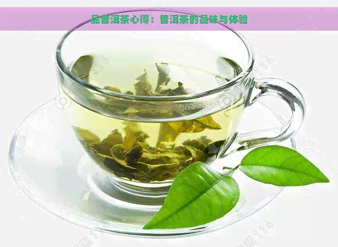 品普洱茶心得：普洱茶的品味与体验