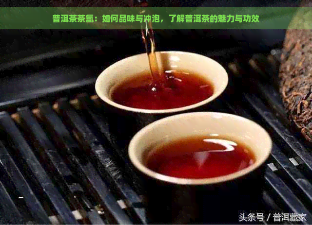 普洱茶茶氲：如何品味与冲泡，了解普洱茶的魅力与功效