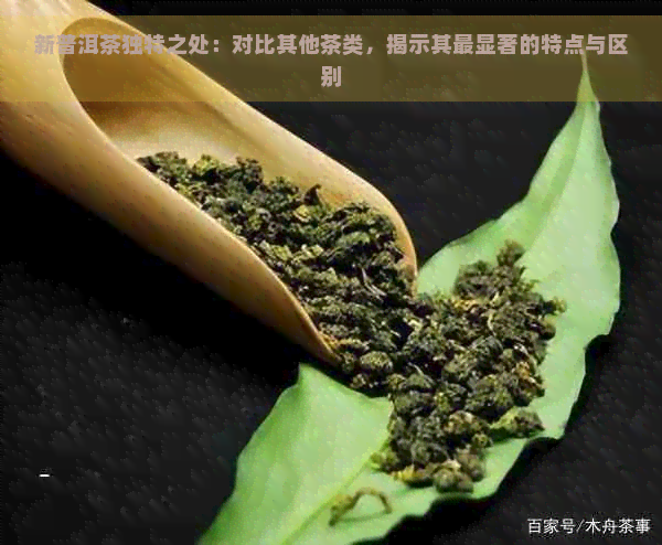 新普洱茶独特之处：对比其他茶类，揭示其最显著的特点与区别