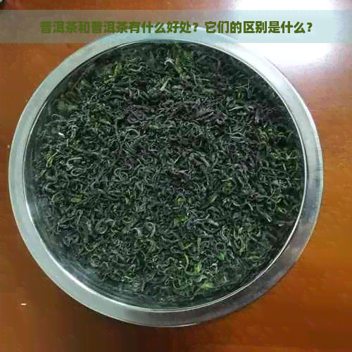 普洱茶和普洱茶有什么好处？它们的区别是什么？