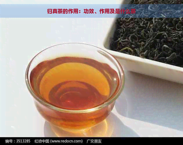 归真茶的作用：功效、作用及是什么茶