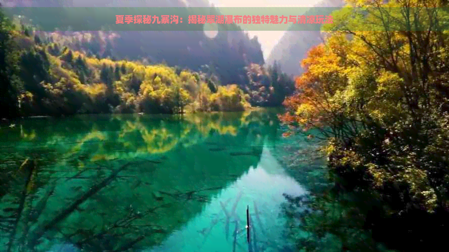 夏季探秘九寨沟：揭秘翠湖瀑布的独特魅力与清凉玩法