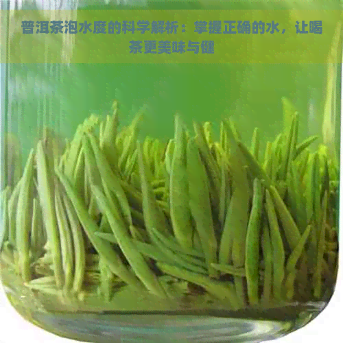 普洱茶泡水度的科学解析：掌握正确的水，让喝茶更美味与健