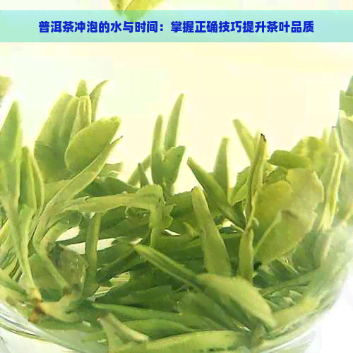 普洱茶冲泡的水与时间：掌握正确技巧提升茶叶品质