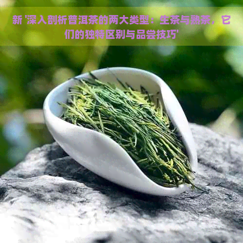 新 '深入剖析普洱茶的两大类型：生茶与熟茶，它们的独特区别与品尝技巧'