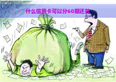 什么信用卡可以分60期还款