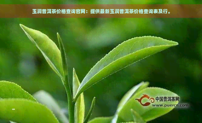 玉润普洱茶价格查询官网：提供最新玉润普洱茶价格查询表及行。