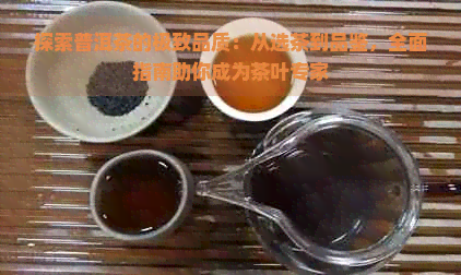 探索普洱茶的极致品质：从选茶到品鉴，全面指南助你成为茶叶专家