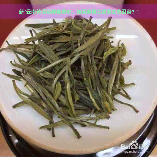 新 '云南普洱茶种类繁多，如何选择合适的生普洱茶？'