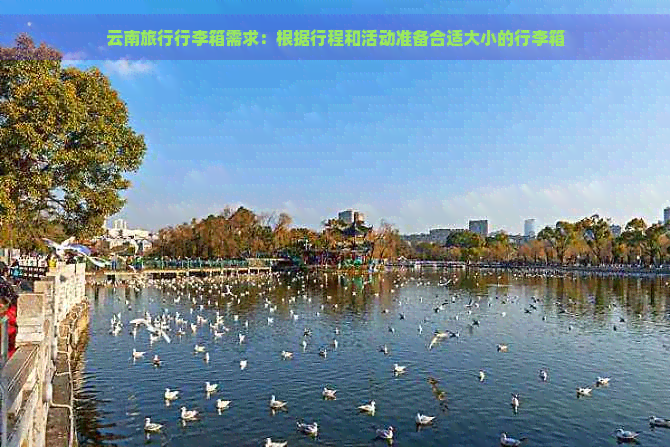 云南旅行行李箱需求：根据行程和活动准备合适大小的行李箱