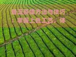 普洱茶揉方法与技巧：掌握上色工艺，体验醇厚口感